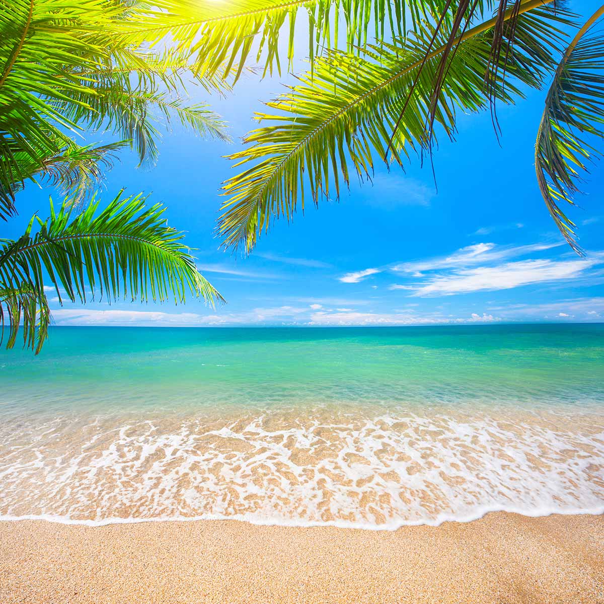 ☀️ Bel été à toutes et à tous ☀️